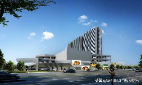 總建面31萬㎡ 光明海吉星要來了,全面進入主體結構施工